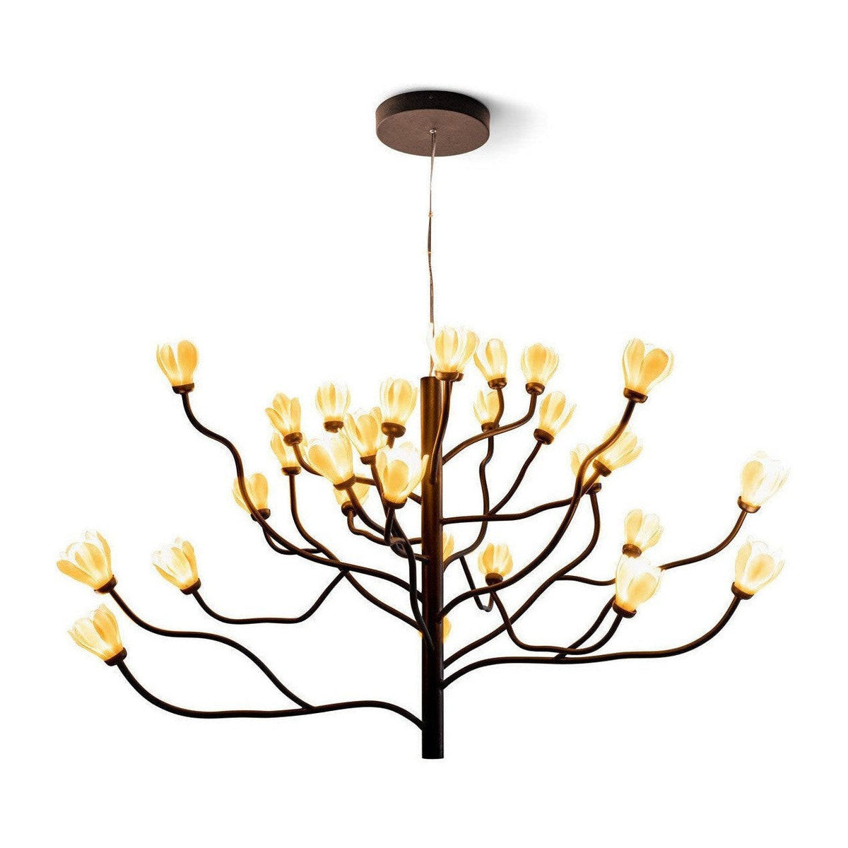 Mkuren Chandelier