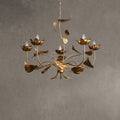 Ninvelle Chandelier